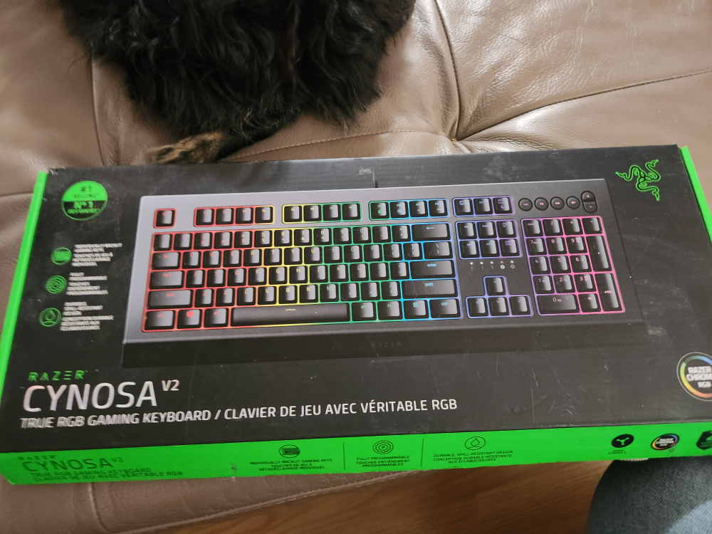 Razer Cynosa V2 True RGB Gaming Keyboard - New in Box! - photo 2