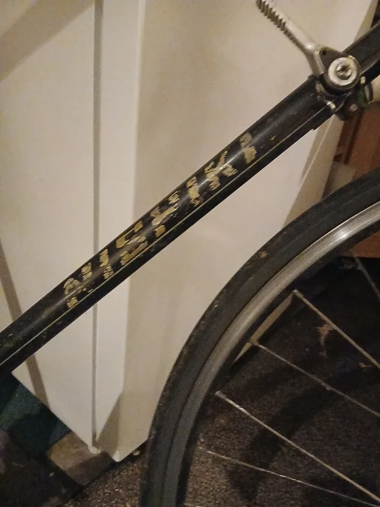 Vintage Nishiki Bike