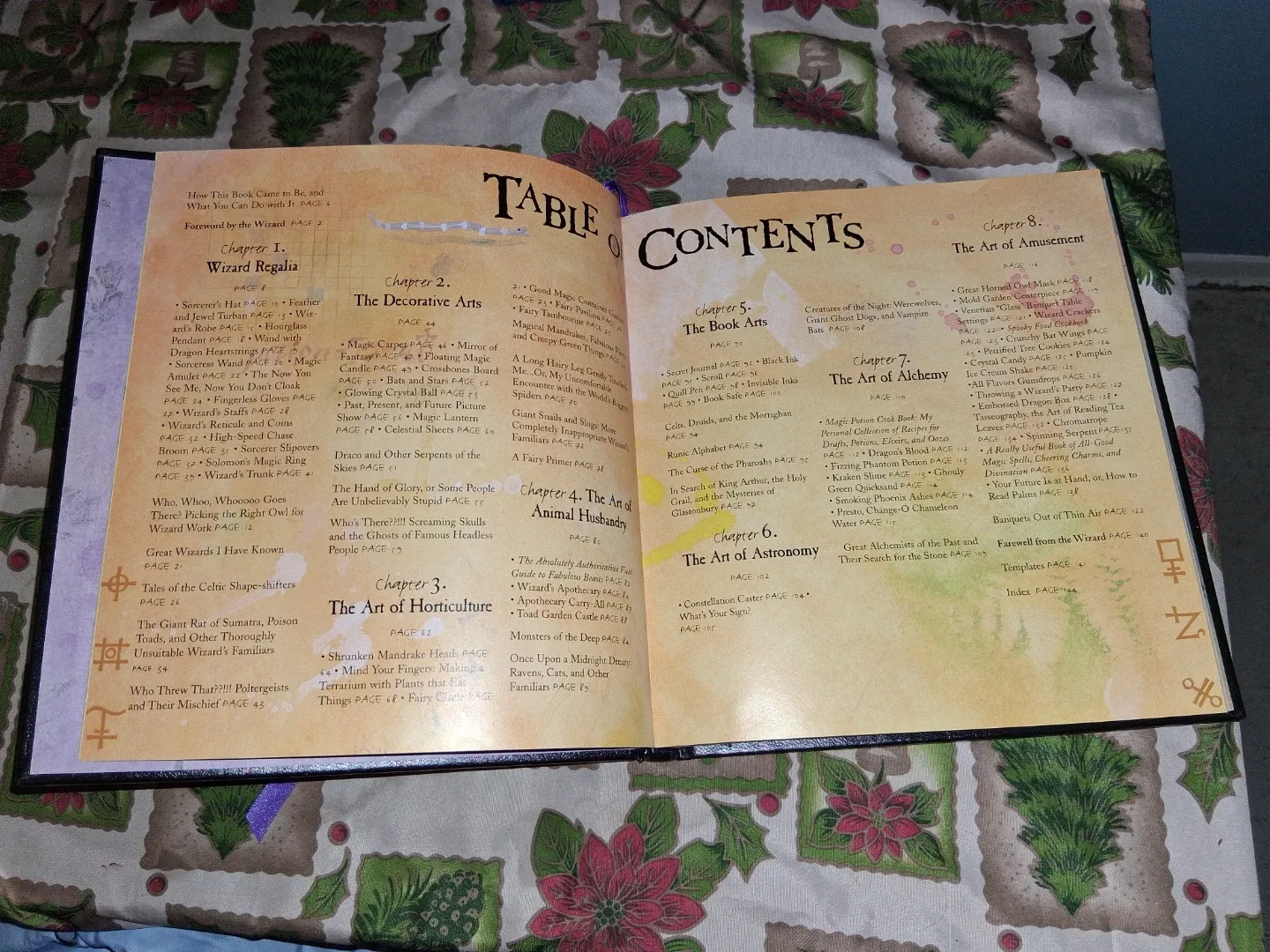 The Book of Wizard Craft image indicator(2)