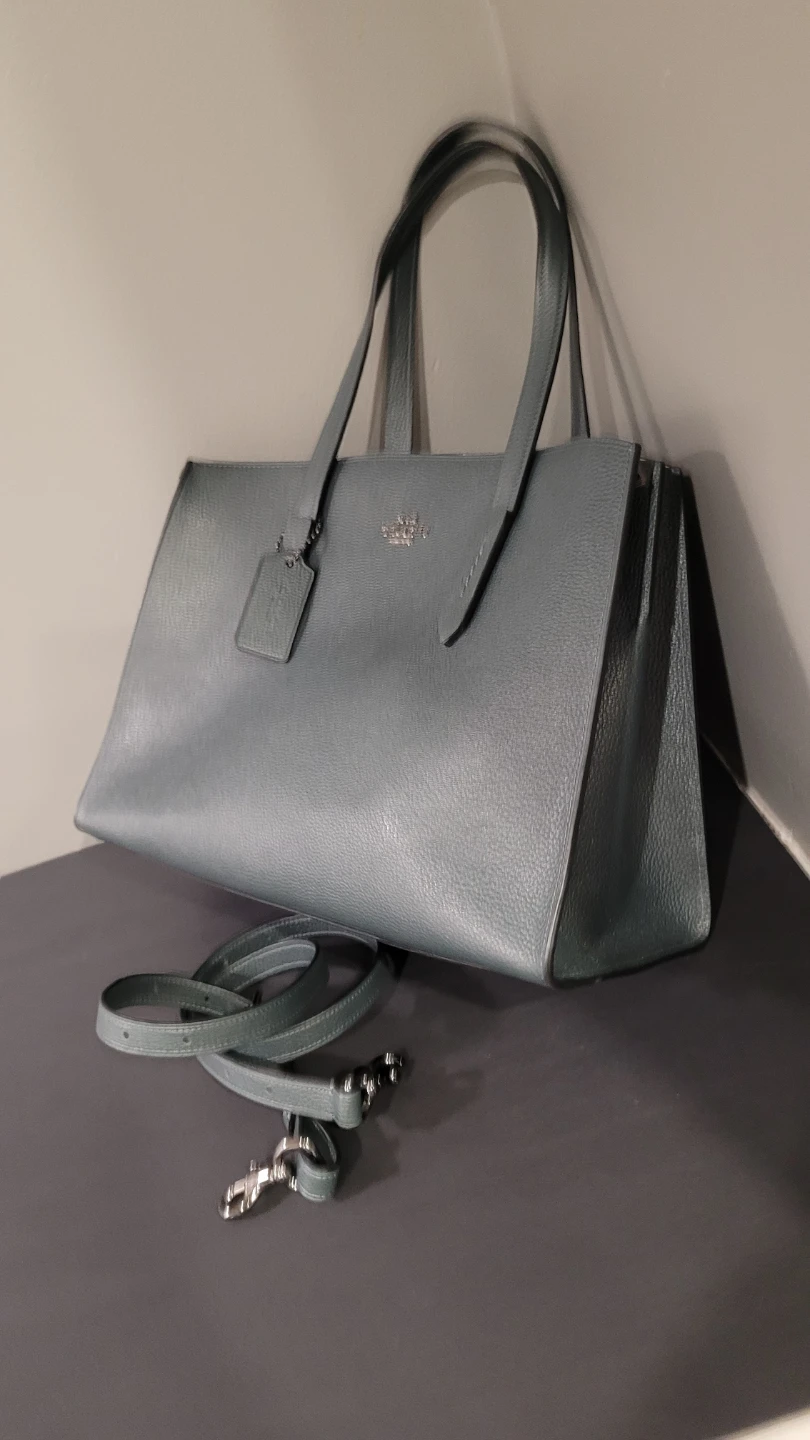 Coach Charlie 40 Carry bag - photo 4