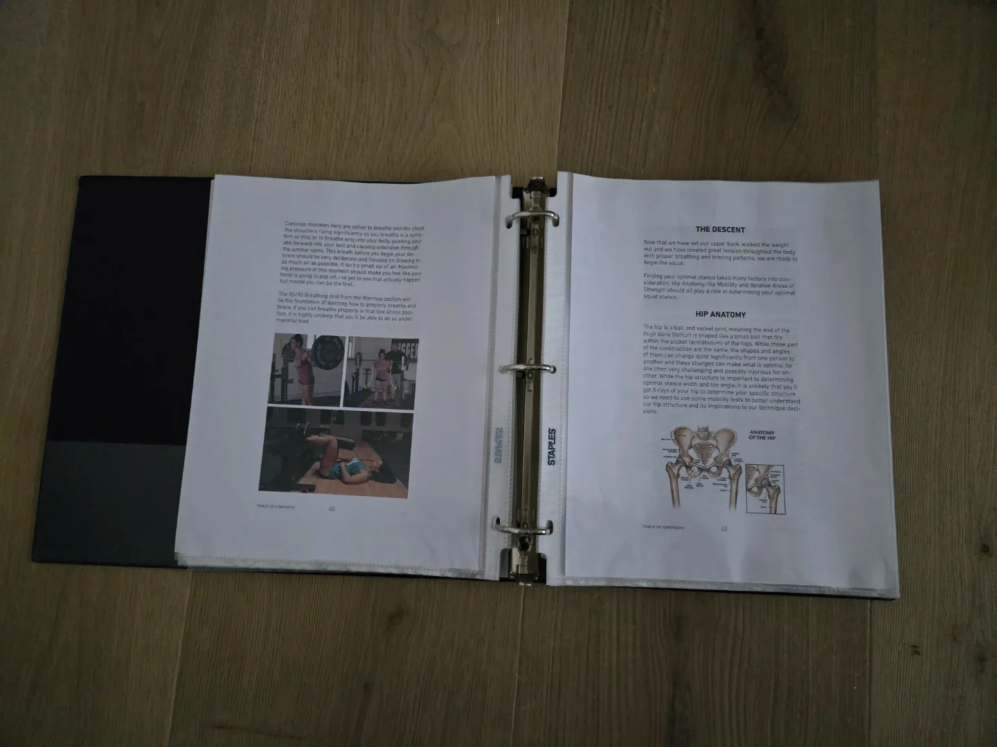 Free "Squat Manual" by Chad Wesley Smith #clearout image indicator(3)