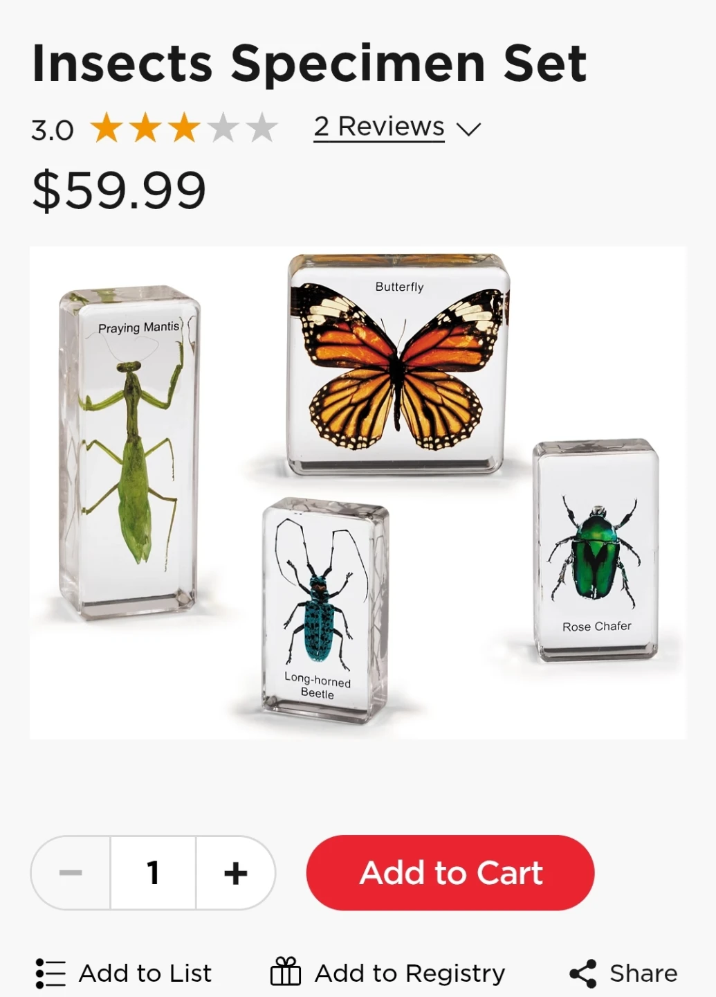 Lakeshore Insects Specimen Set