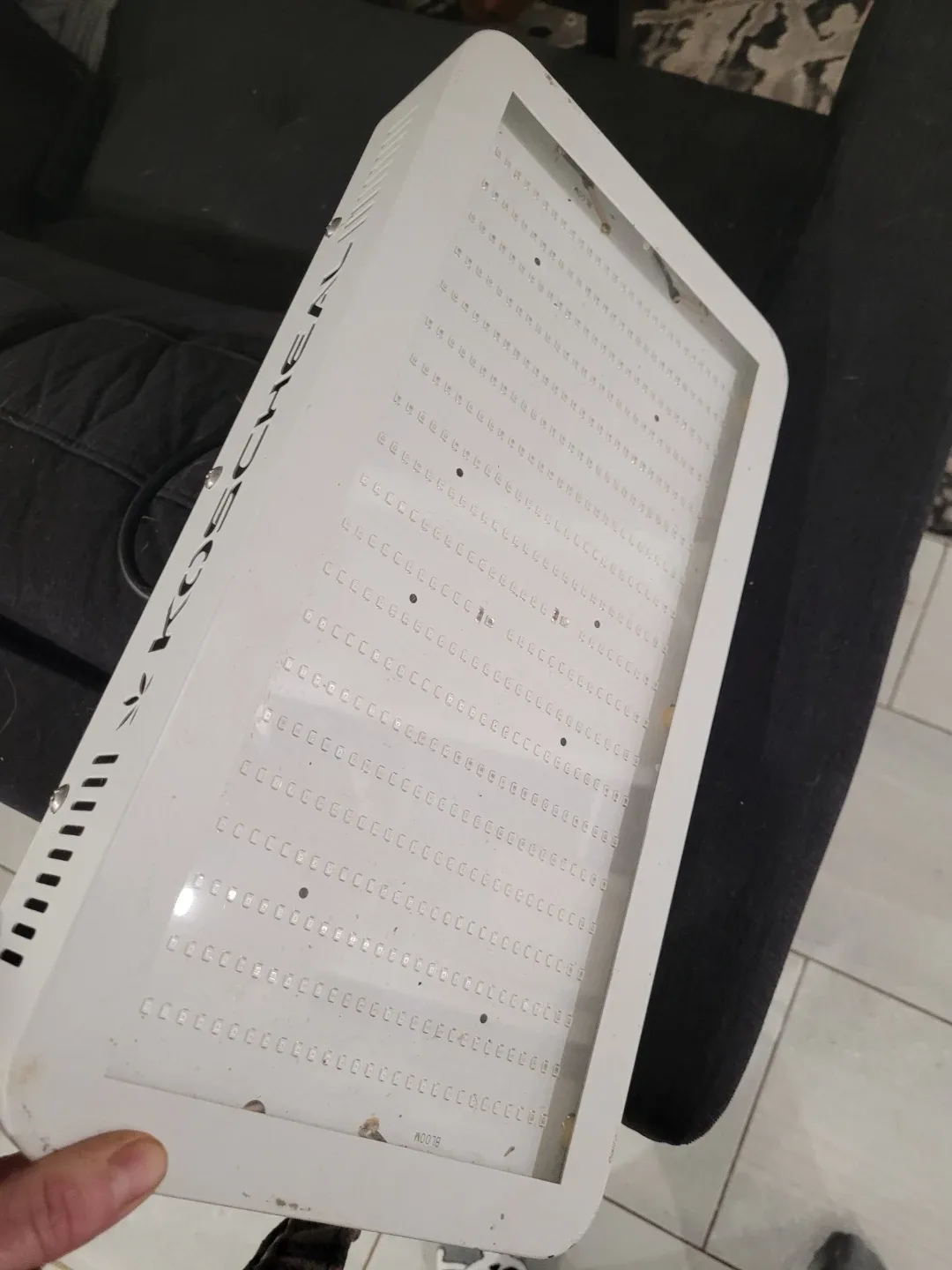 Koscheal LED Grow Light