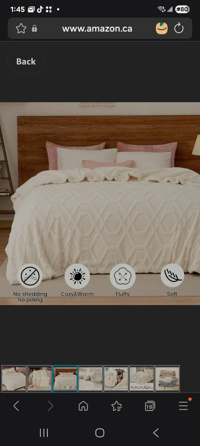 large Fluffy Sherpa Fleece Blanket new image indicator(3)