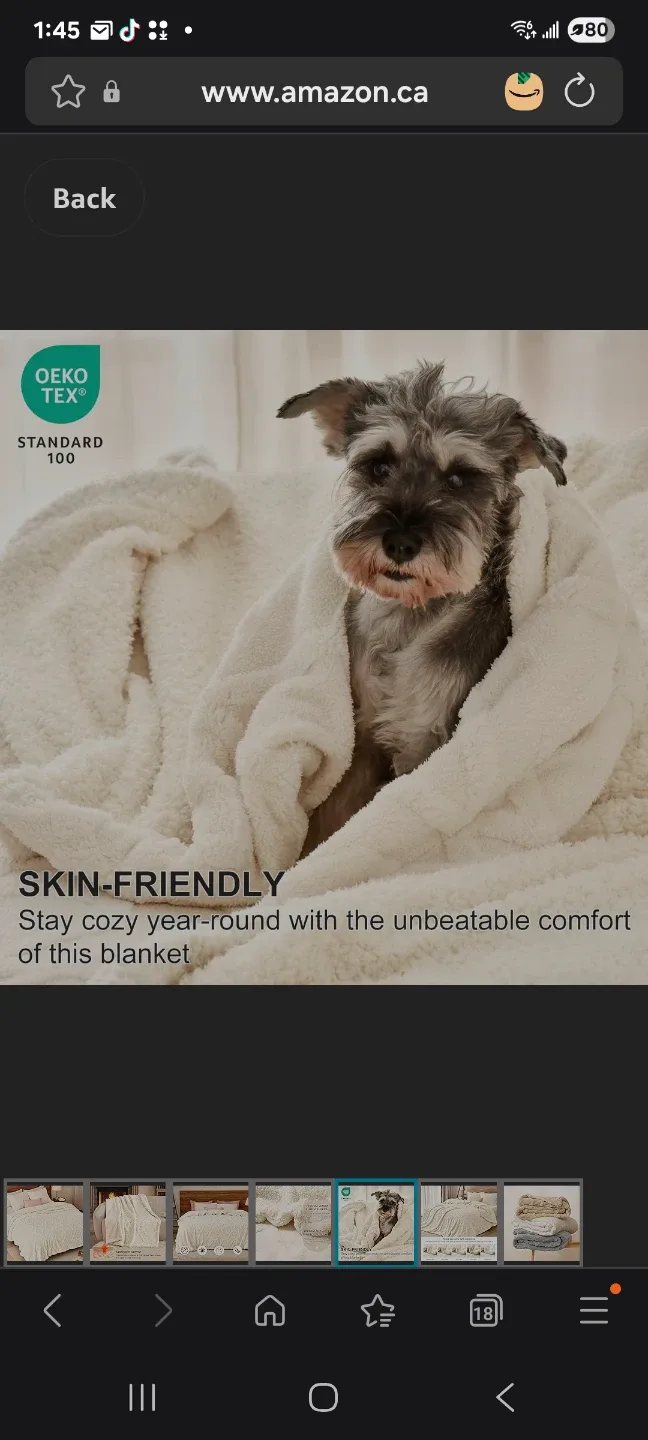 large Fluffy Sherpa Fleece Blanket new image indicator(5)