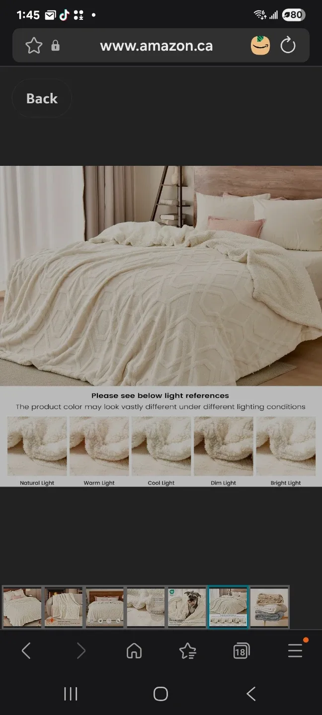 large Fluffy Sherpa Fleece Blanket new image indicator(6)