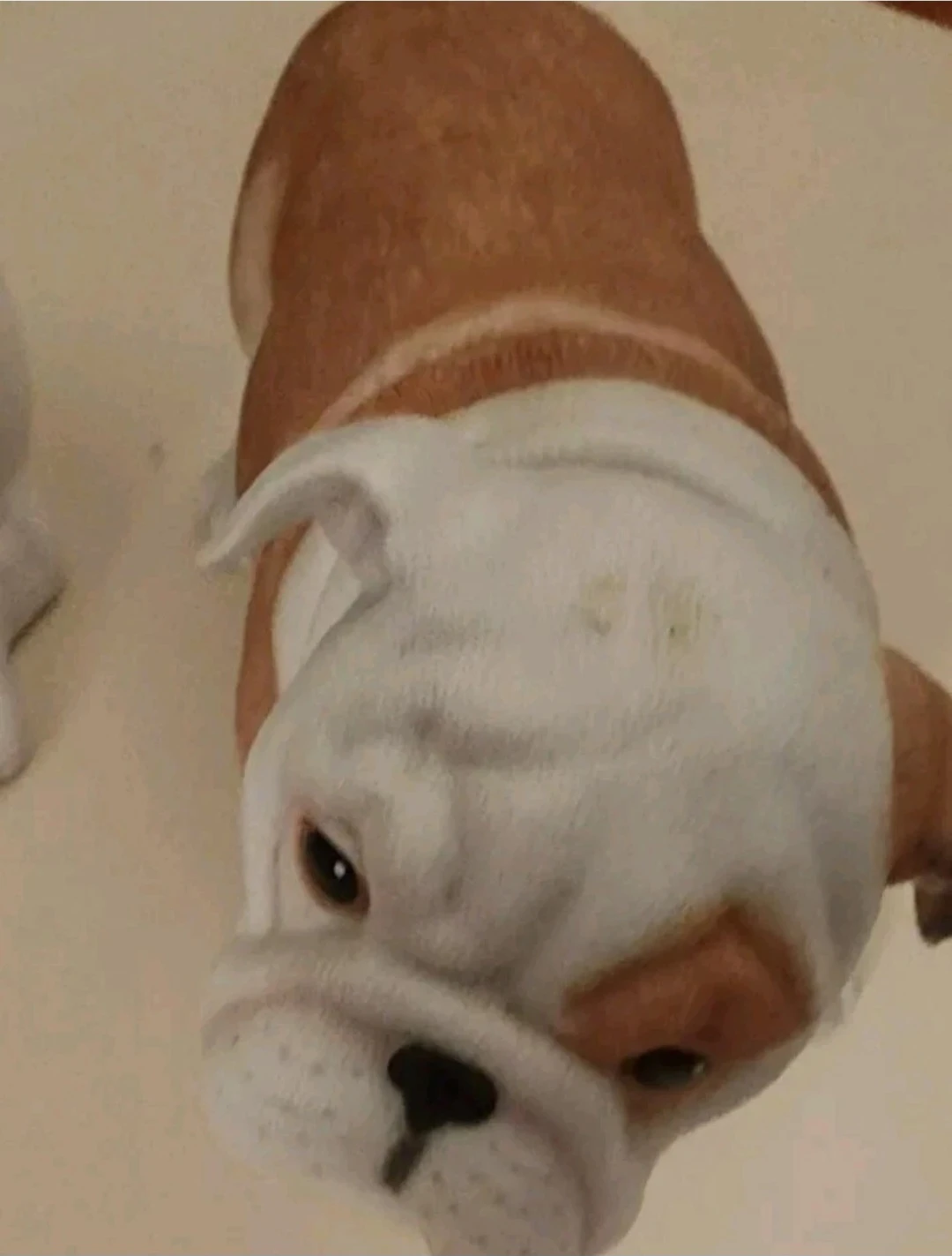 Lenox Bulldog Figurines - photo 3