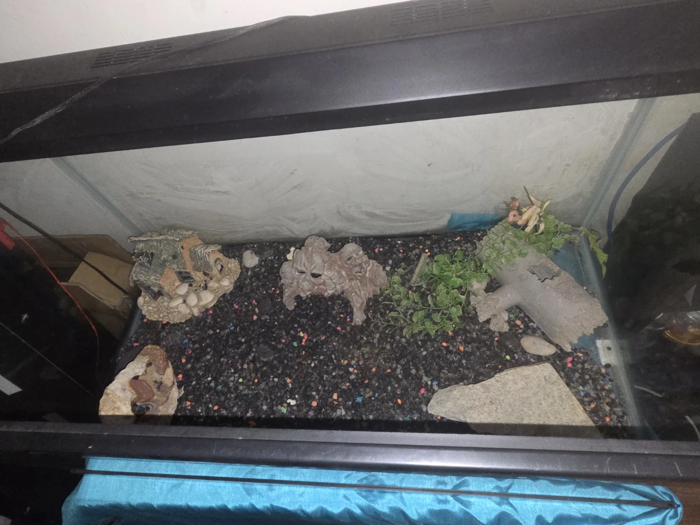 Fish Tank with Decorations and stand