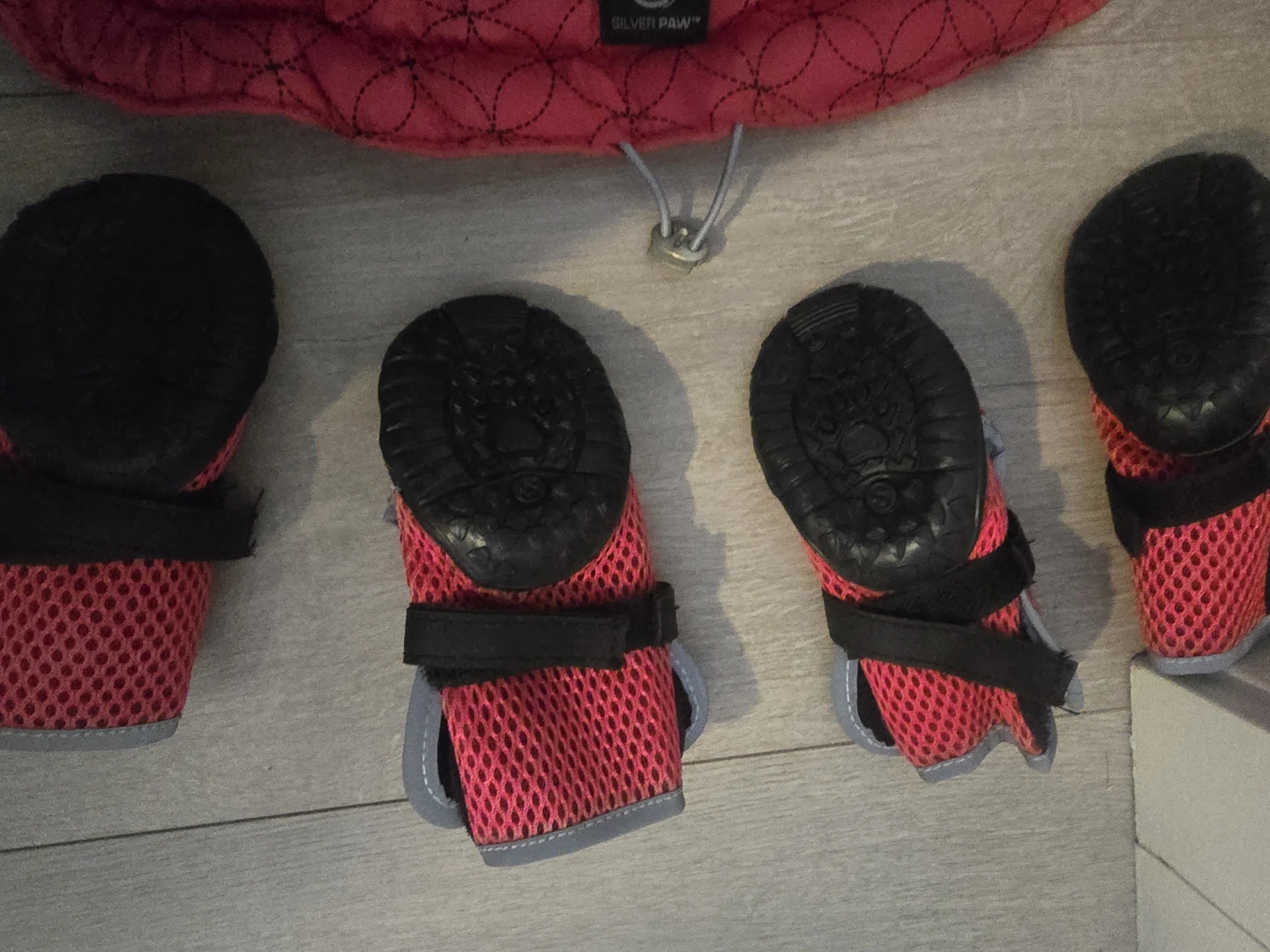 Silver Paw Jacket & Shoe - photo 3