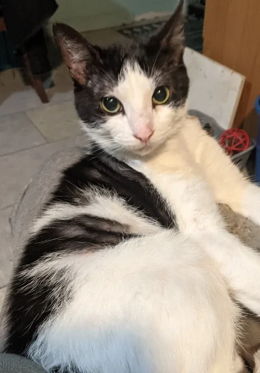 Wanted costume jewelry