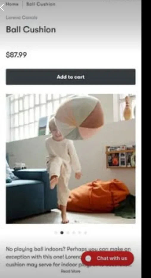 Ball Cushion and stuff animals