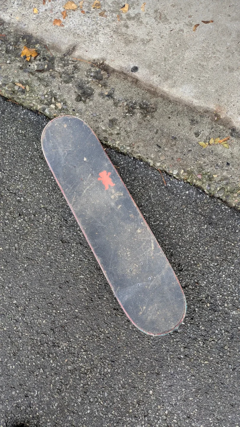 Used Grizzly Skateboard