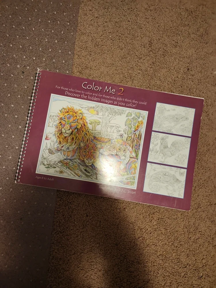 Color Me 2 Adult Colouring Book by P.J. Smart