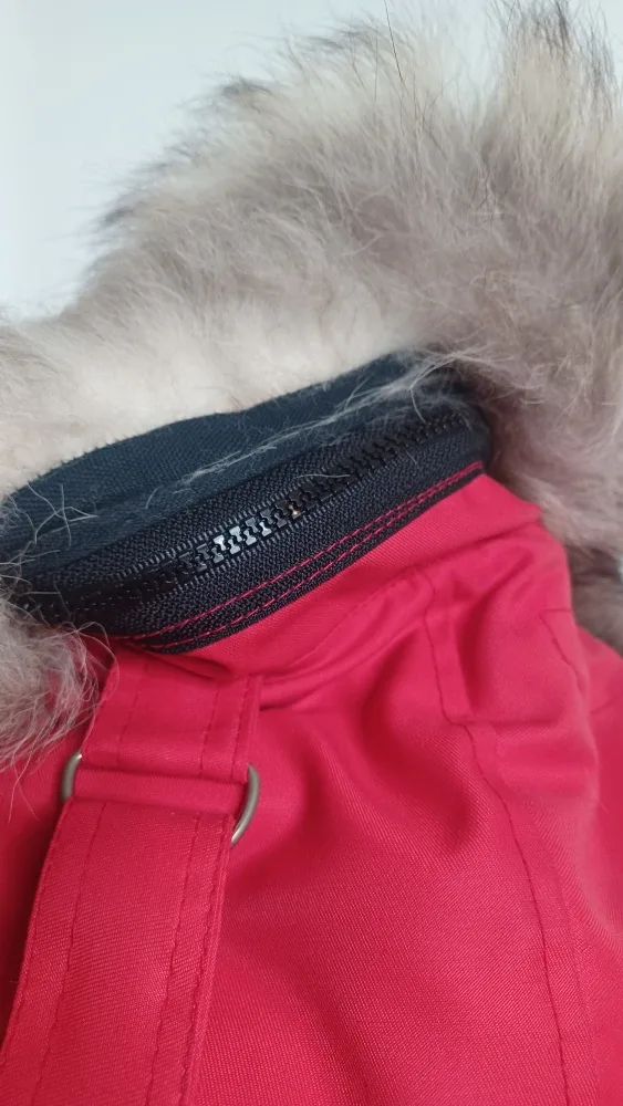 Red Winter Parka - Size Small image indicator(4)