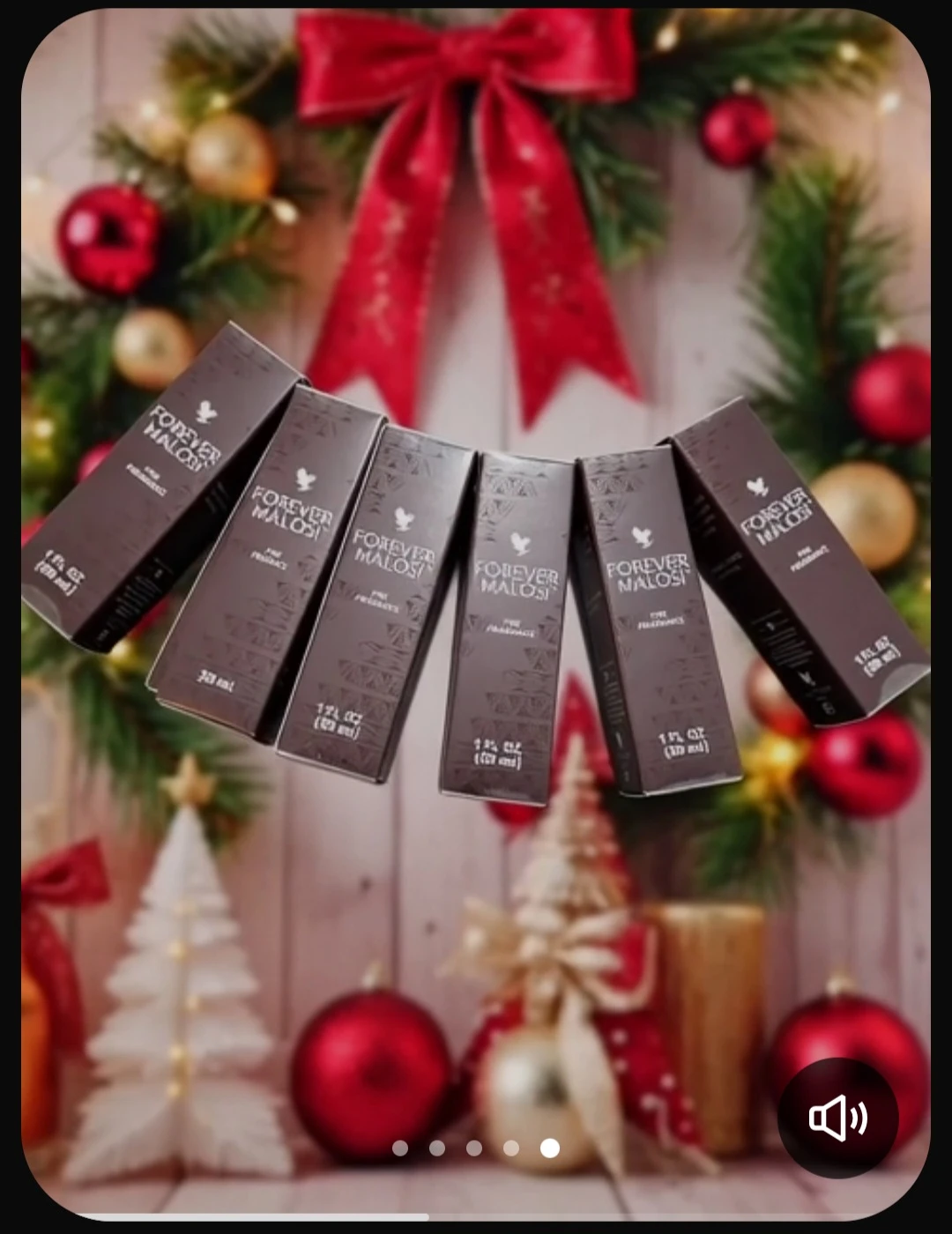 Forever Living Products Bundle - photo 4
