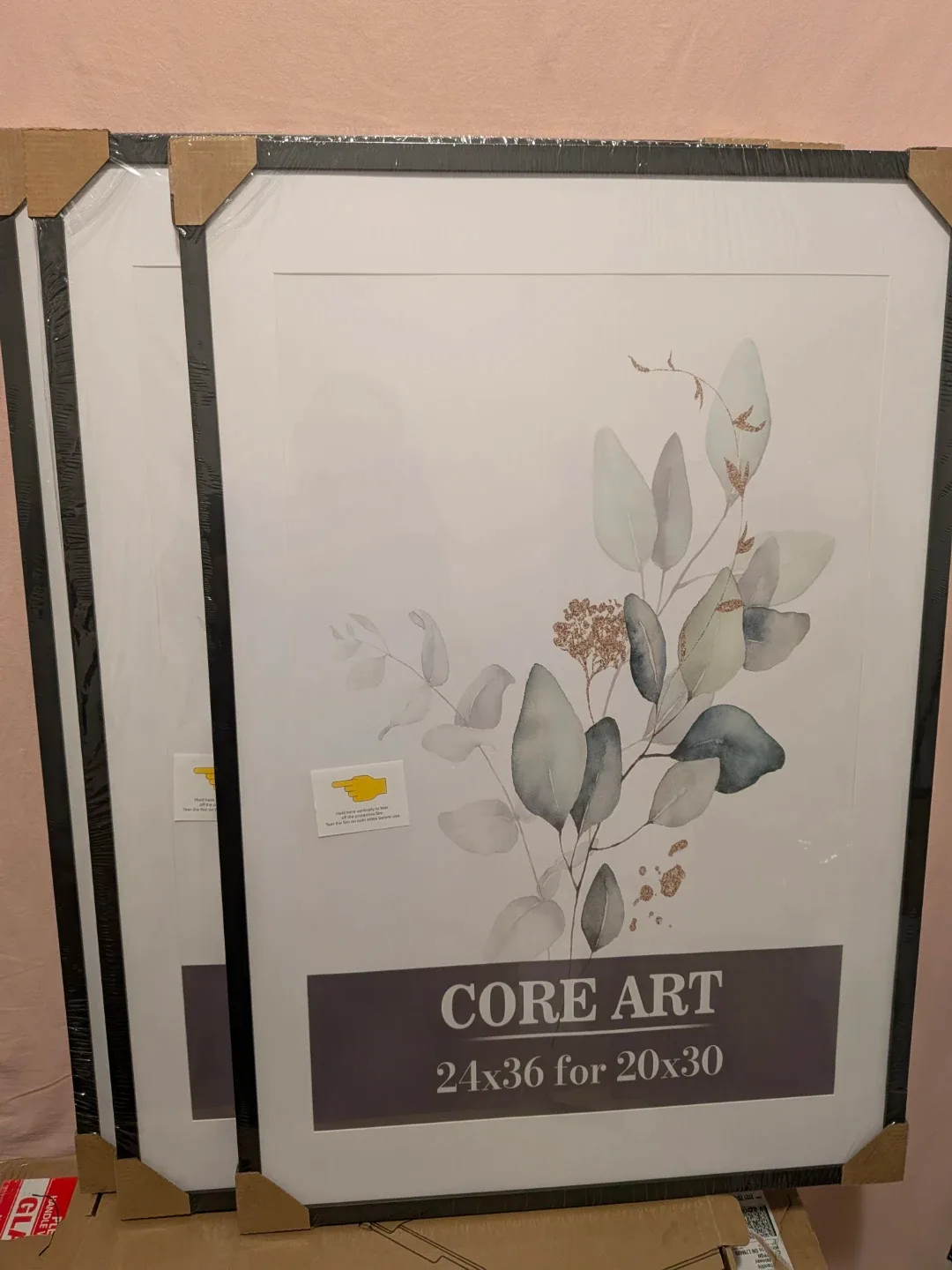 Core Art 24x36 Picture Framex3