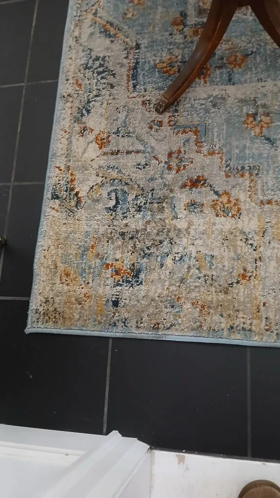 Patterned Area Rug - Blue/Beige image indicator(5)