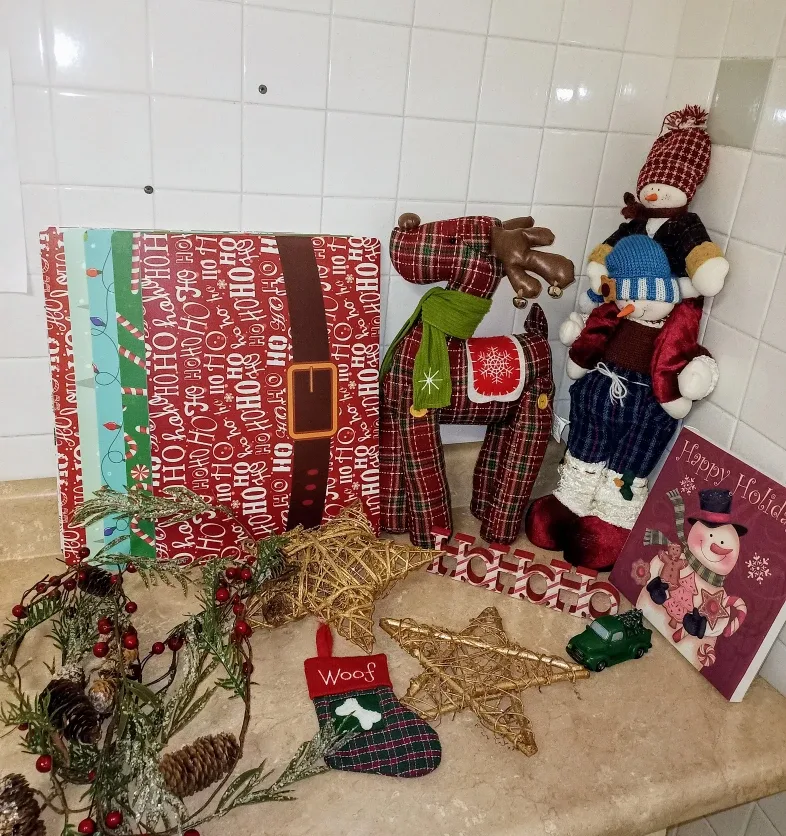 LikeNew~everything Christmas  #Cleanout