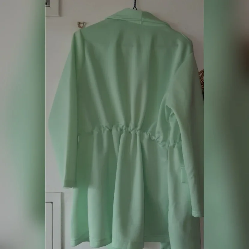 Mint Green Blazer and Pants Set image indicator(2)