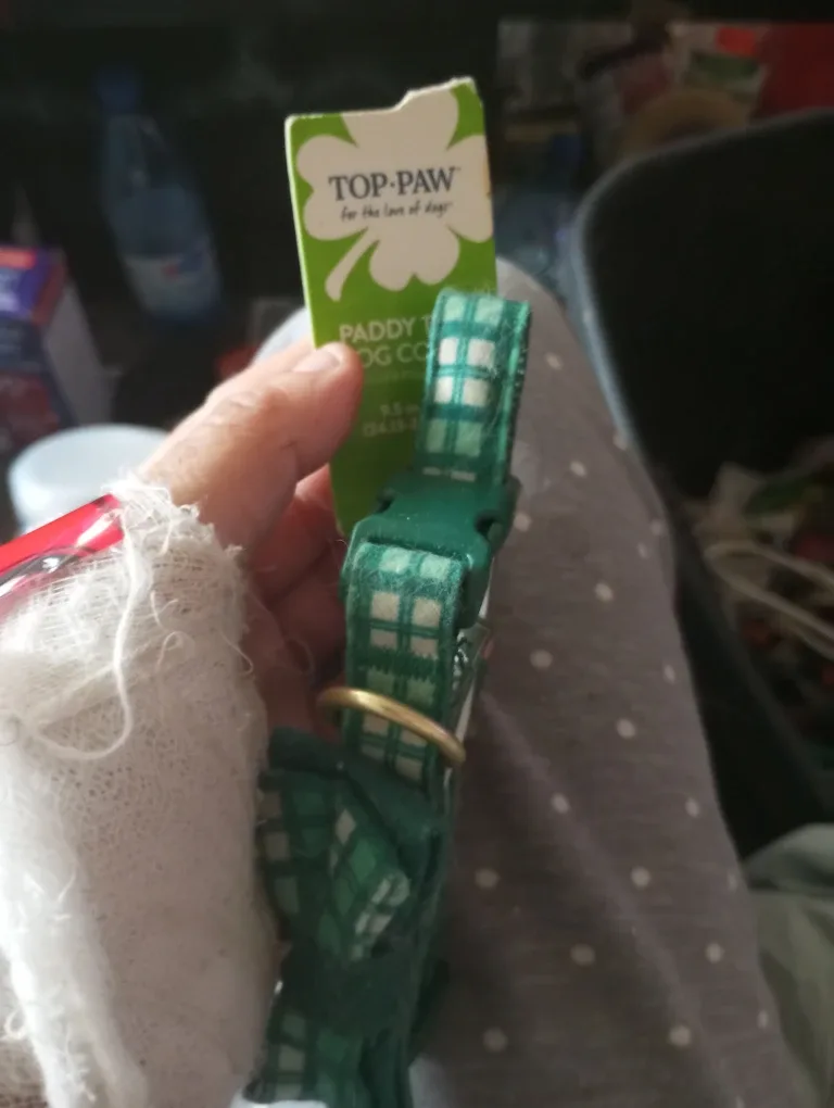 TOP-PAW Paddy Time Dog Collar, 9.5-14 inch