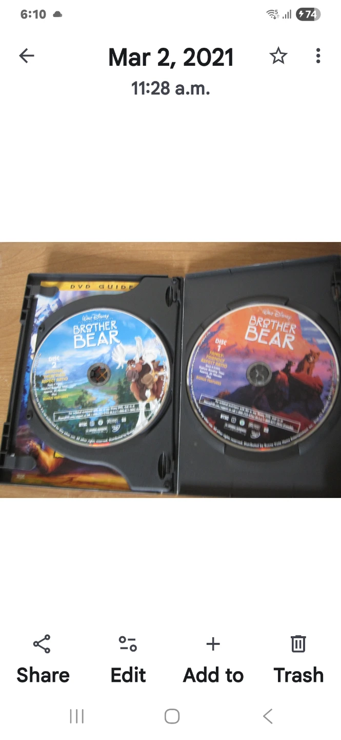 Disney DVDs: Homeward Bound & Brother Bear. $5 EACH firm. - photo 2