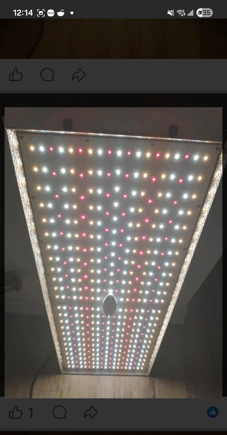 TMLAPY Full Spectrum LED Grow Light TML-H260W-01 - photo 3
