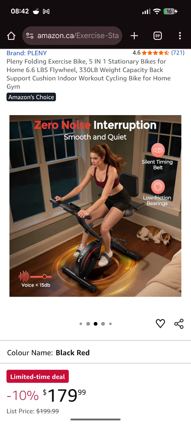 Folding Exercise Bike