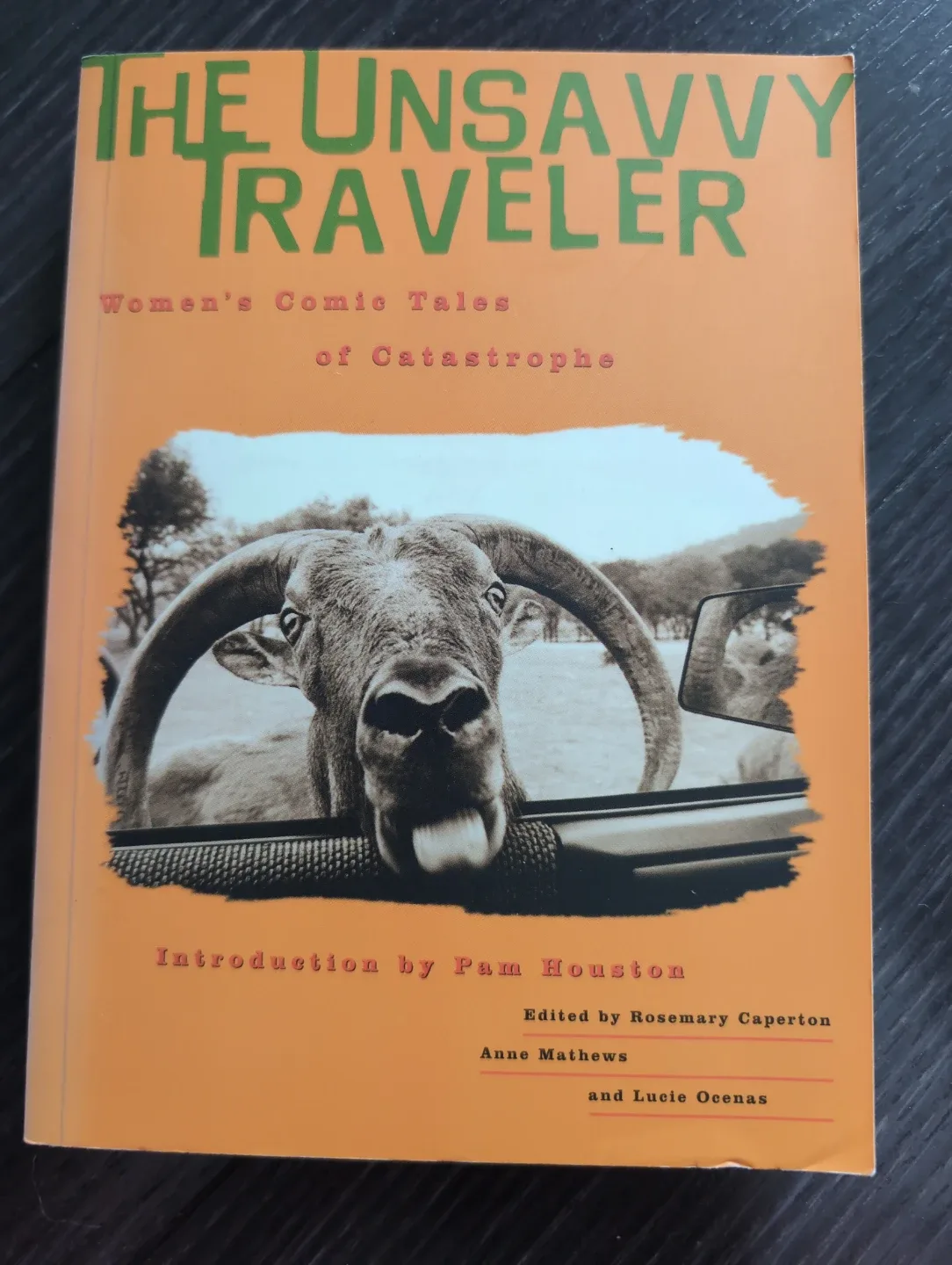 The Unsavvy Traveler: Women's Comic Tales