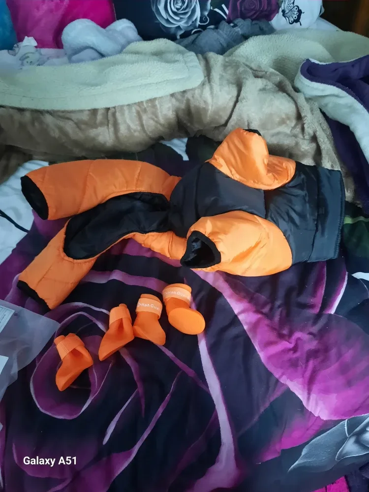 Puppia Orange Winter Coat & Boots image indicator(2)