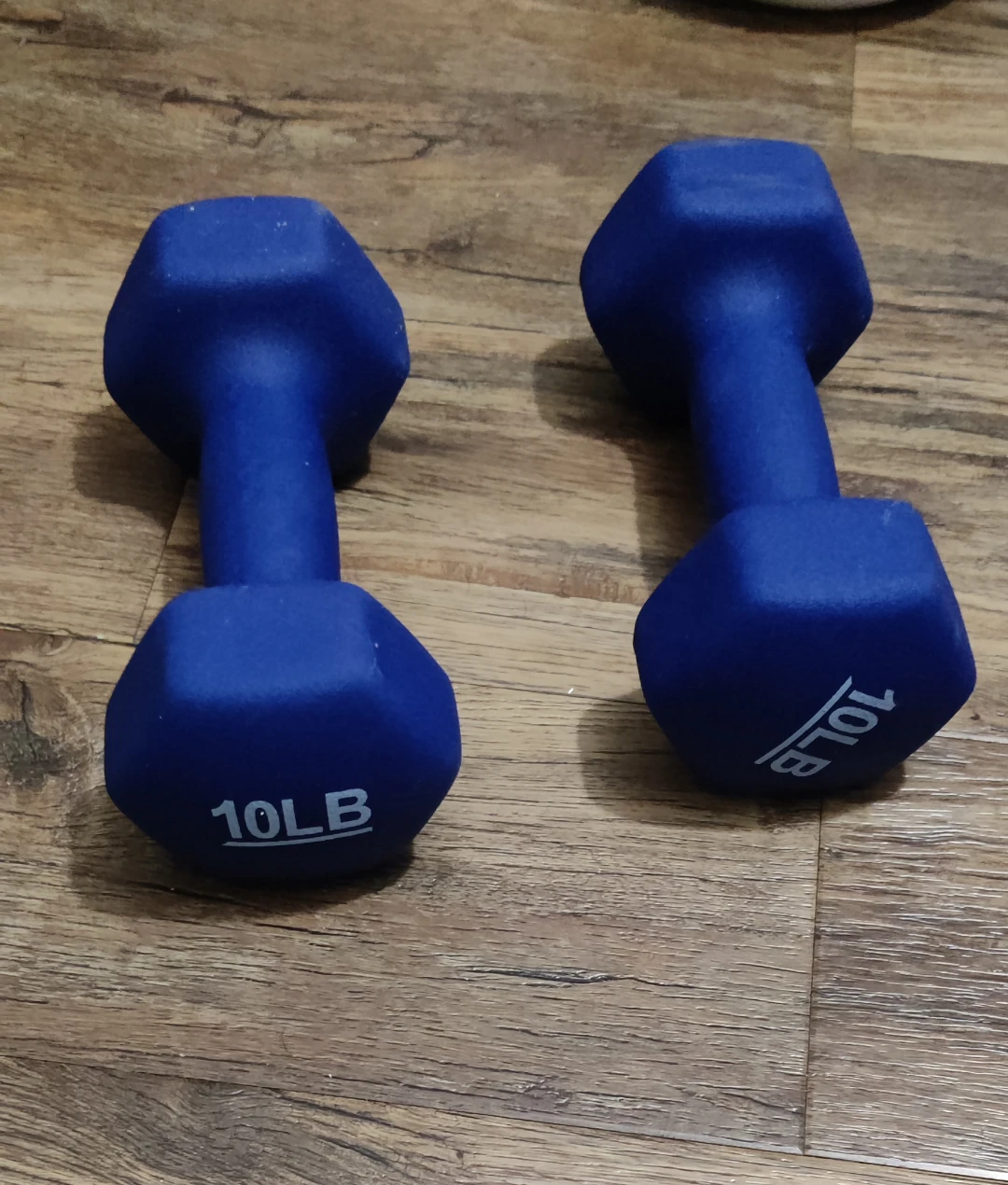 Set of Two 10LB Dumbbells - Blue