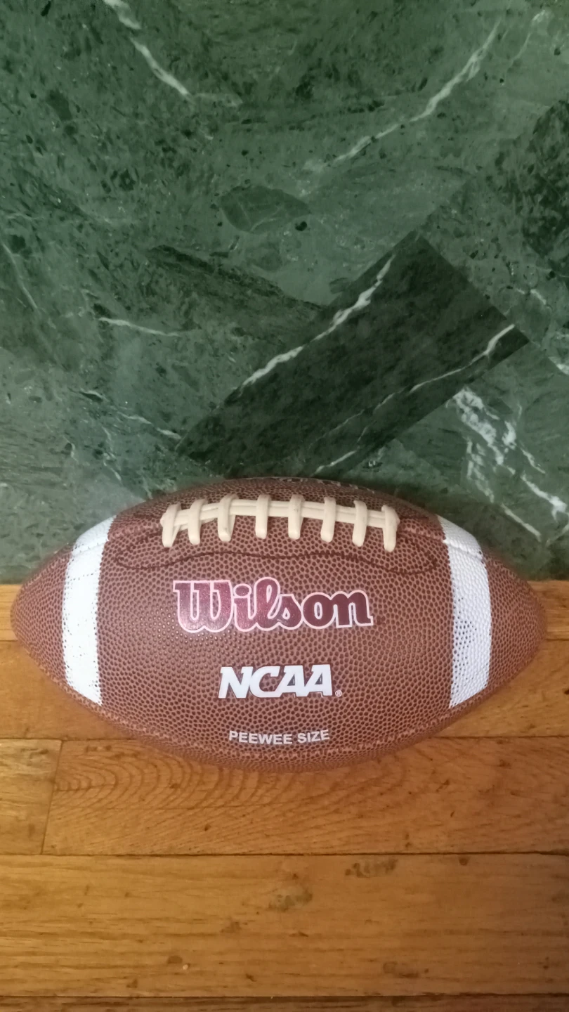 Wilson Football