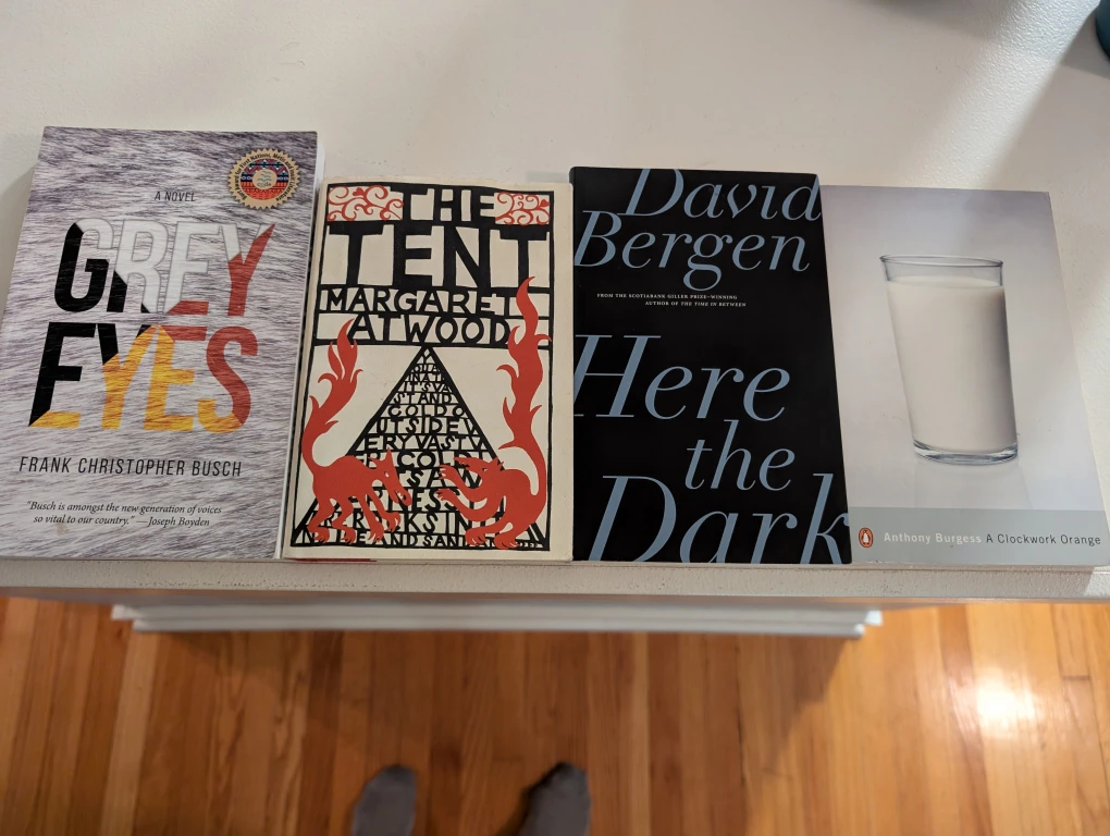 BOOKS! - photo 2