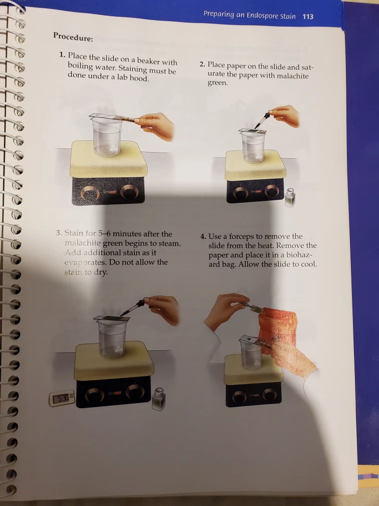 Techniques in Microbiology, A Student Handbook - photo 2