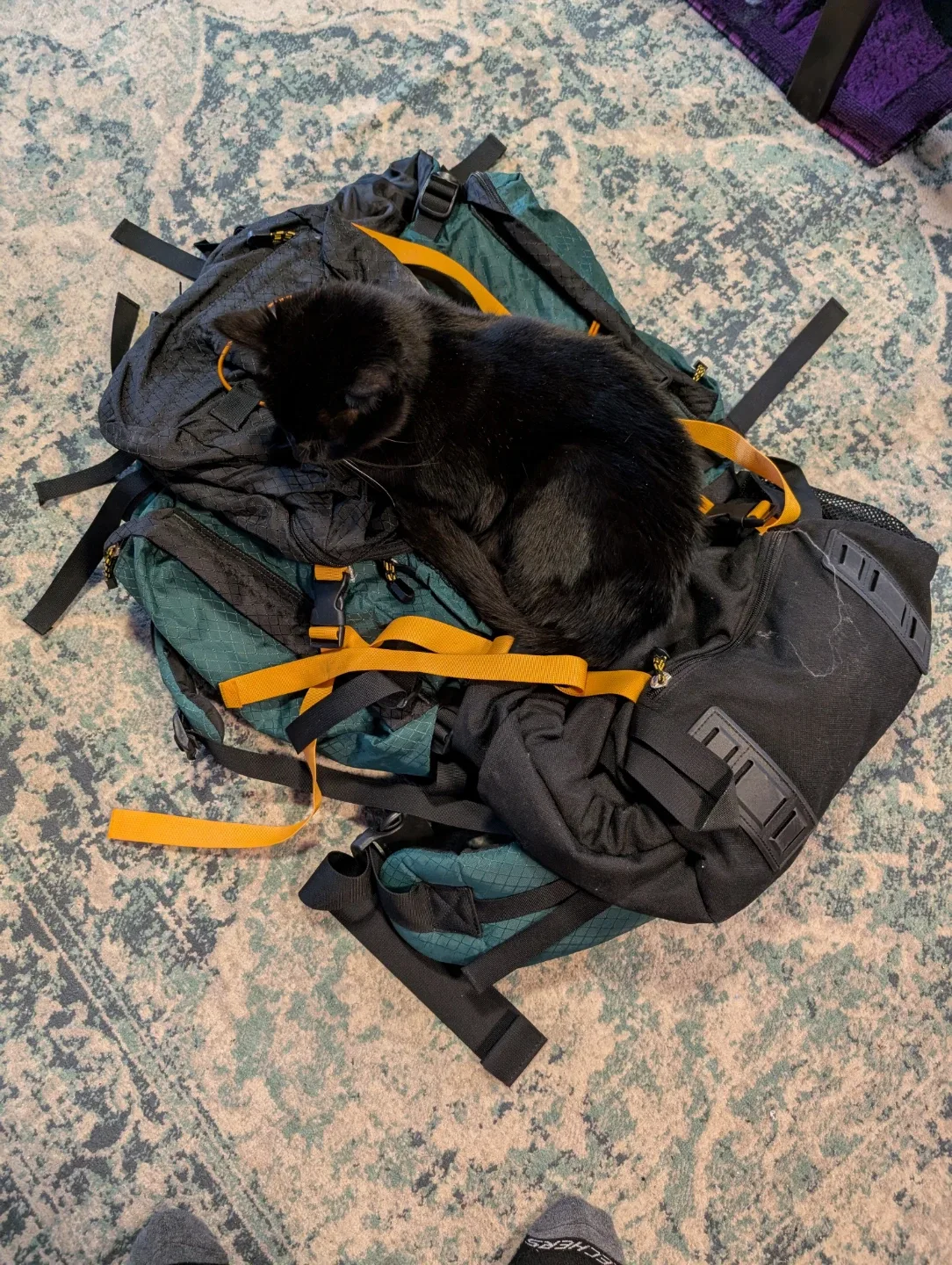 Hiking camping Backpack - Green & Black image indicator(4)