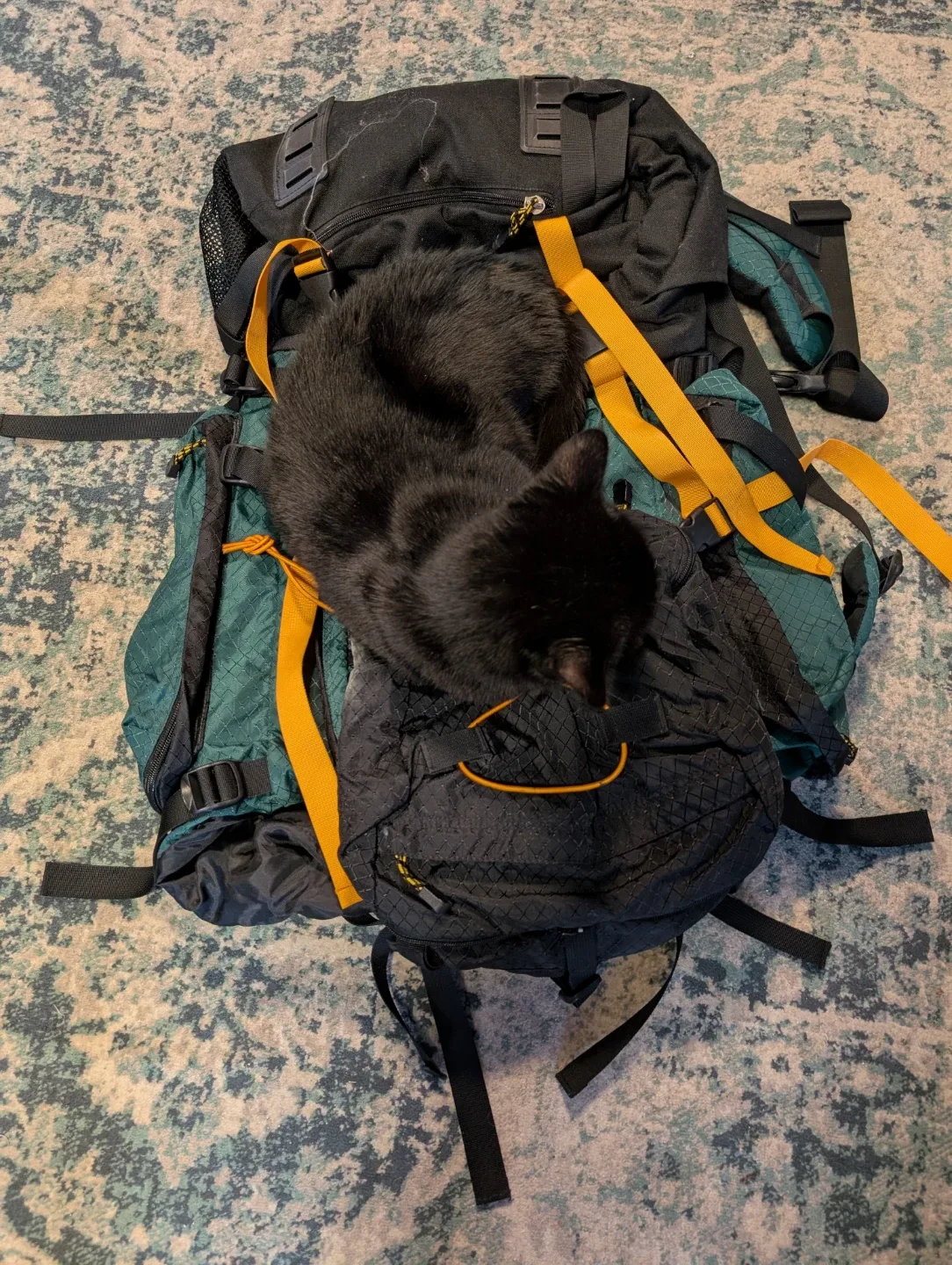 Hiking camping Backpack - Green & Black image indicator(5)