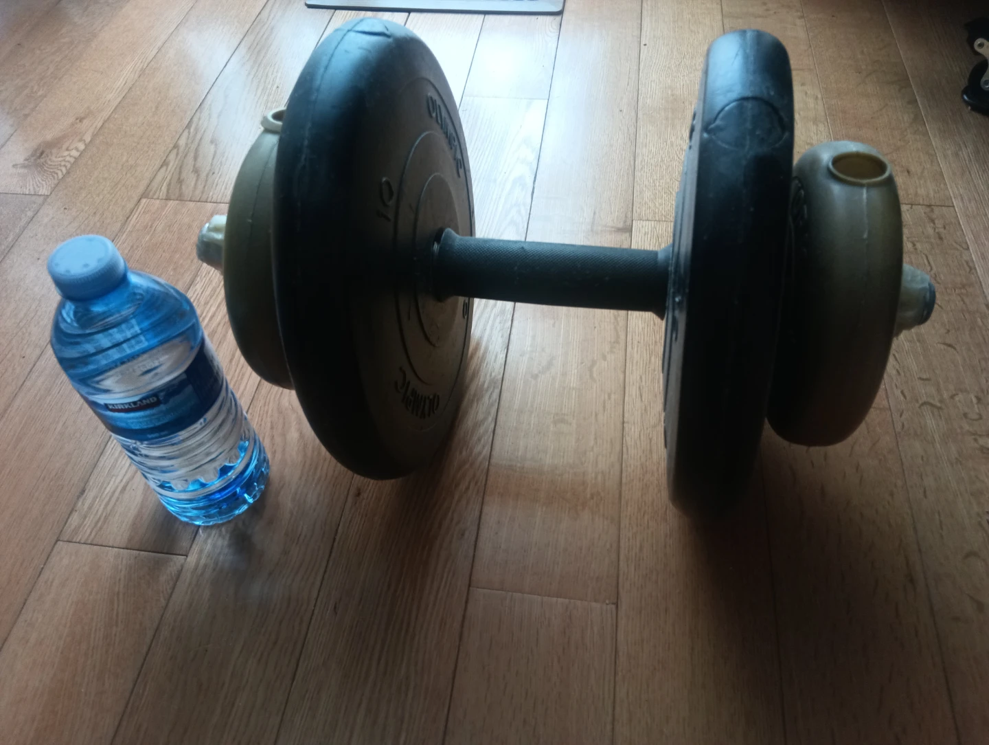 25lb & 12 lb Dumbbell