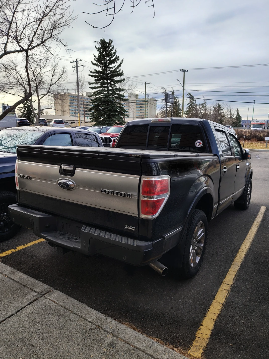 2010 Ford F-150 "Platinum" - photo 5