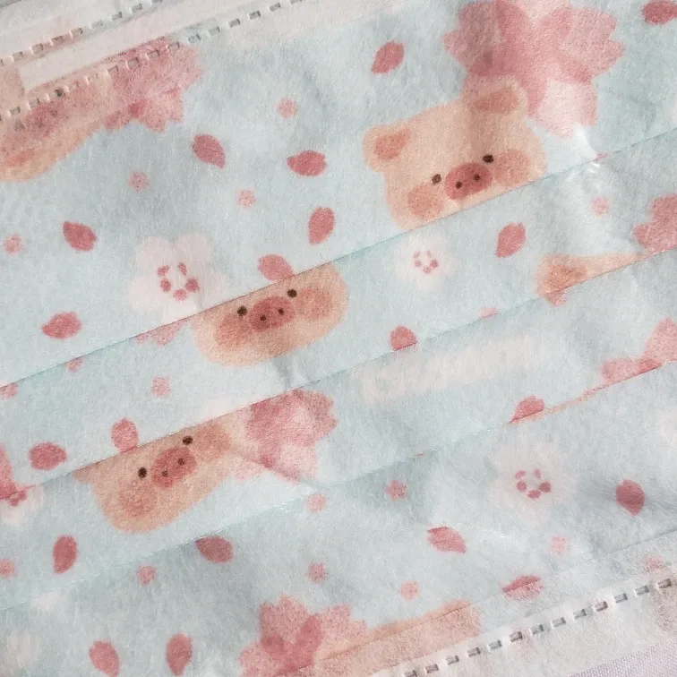 🆕Floral Piggy Disposable Face Masks #Cleanout image indicator(3)