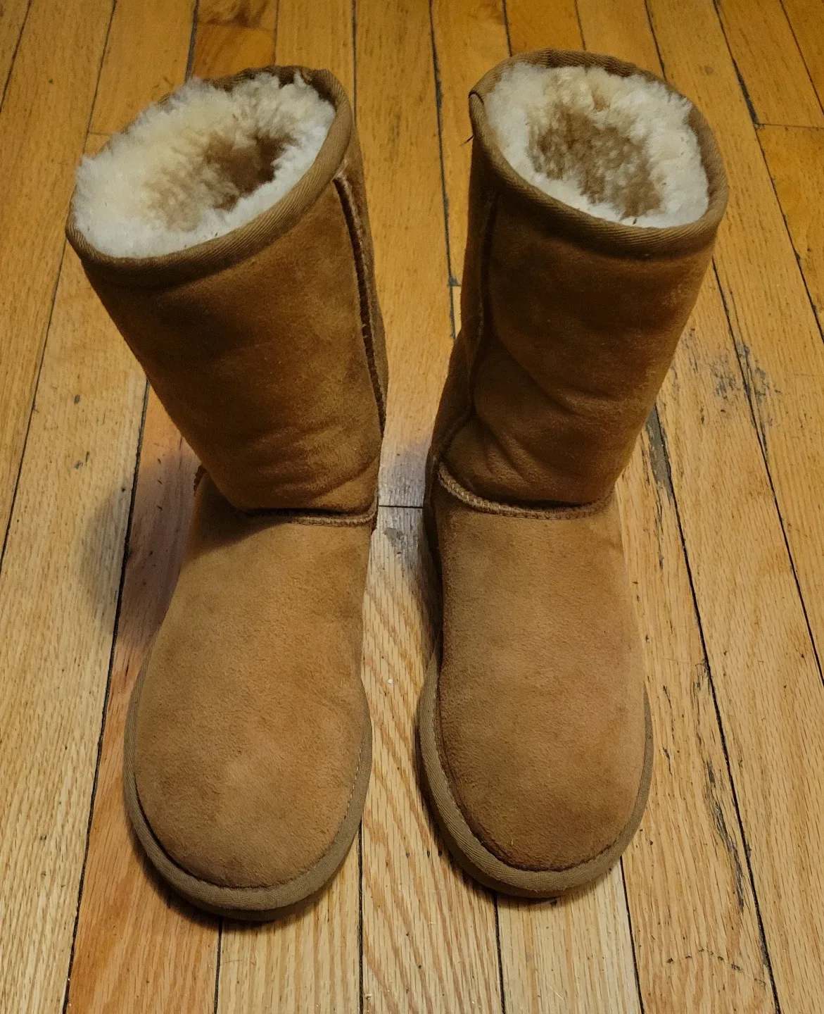 UGG Classic Short Boots - Women's Size 6