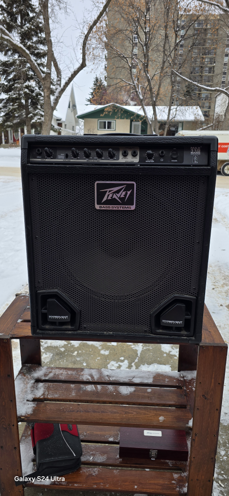 Peavey MAX 115 Bass Amp – 75W – Great Condition