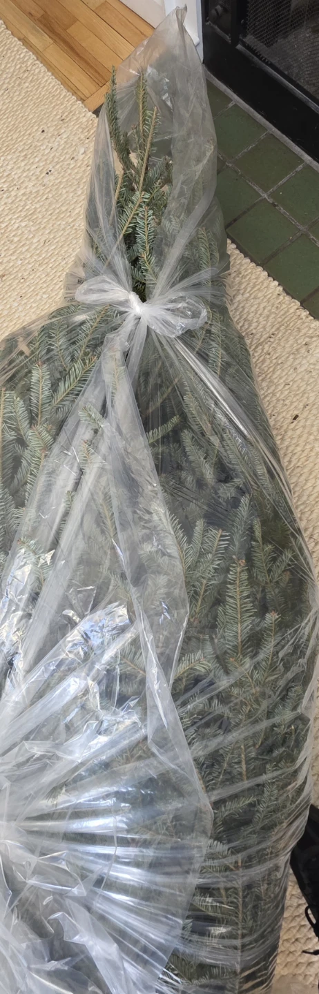 Real Christmas Tree 7ft - photo 3