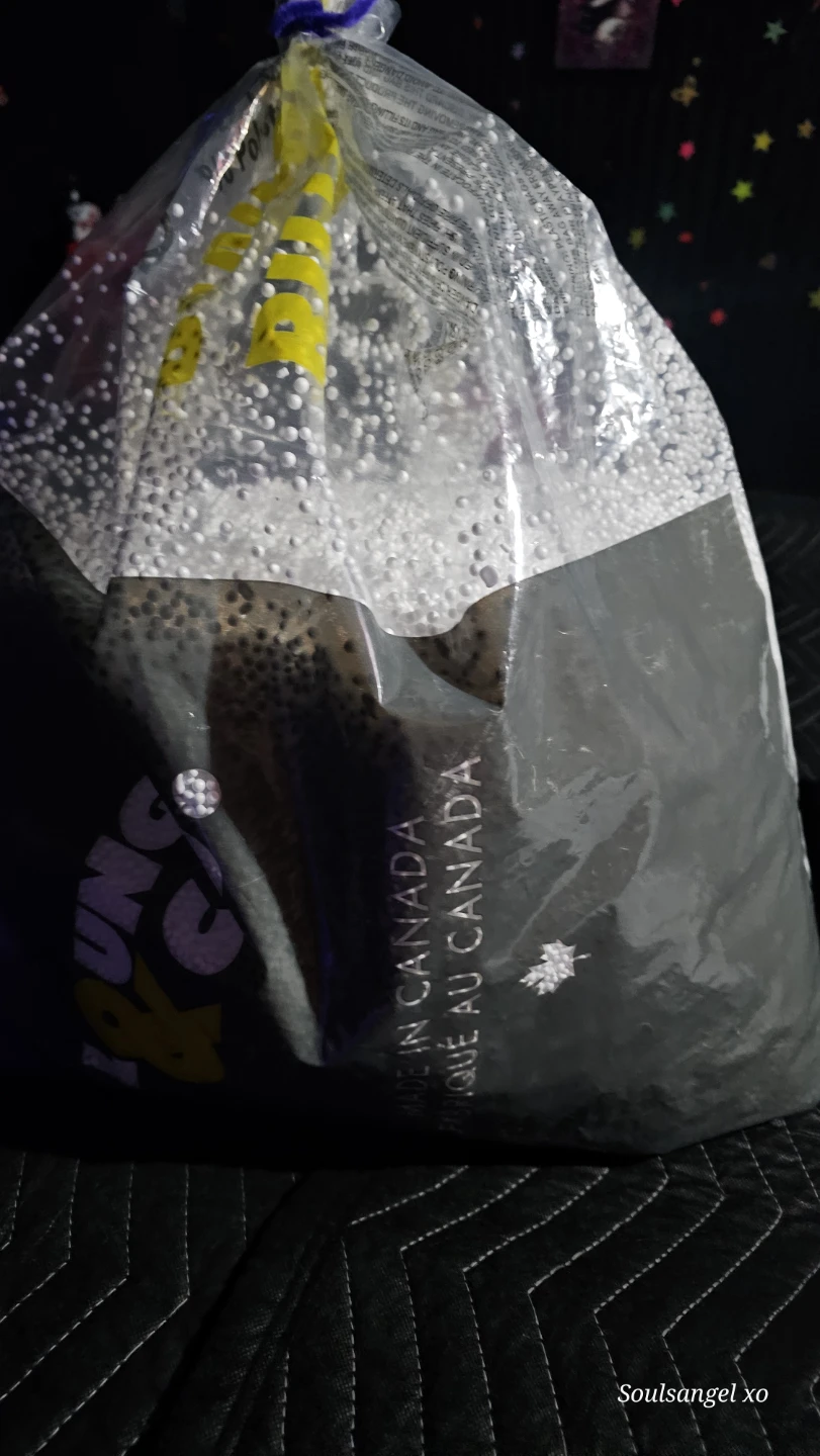 FREE SMALL BOX OF MISC AND BEANBAG BEADa - photo 3