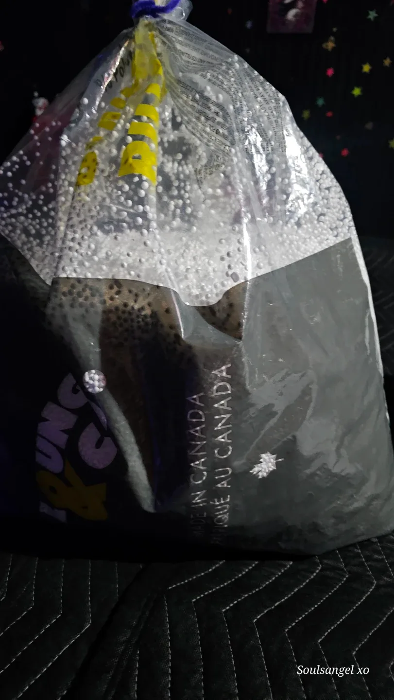 FREE SMALL BOX OF MISC AND BEANBAG BEADa image indicator(3)