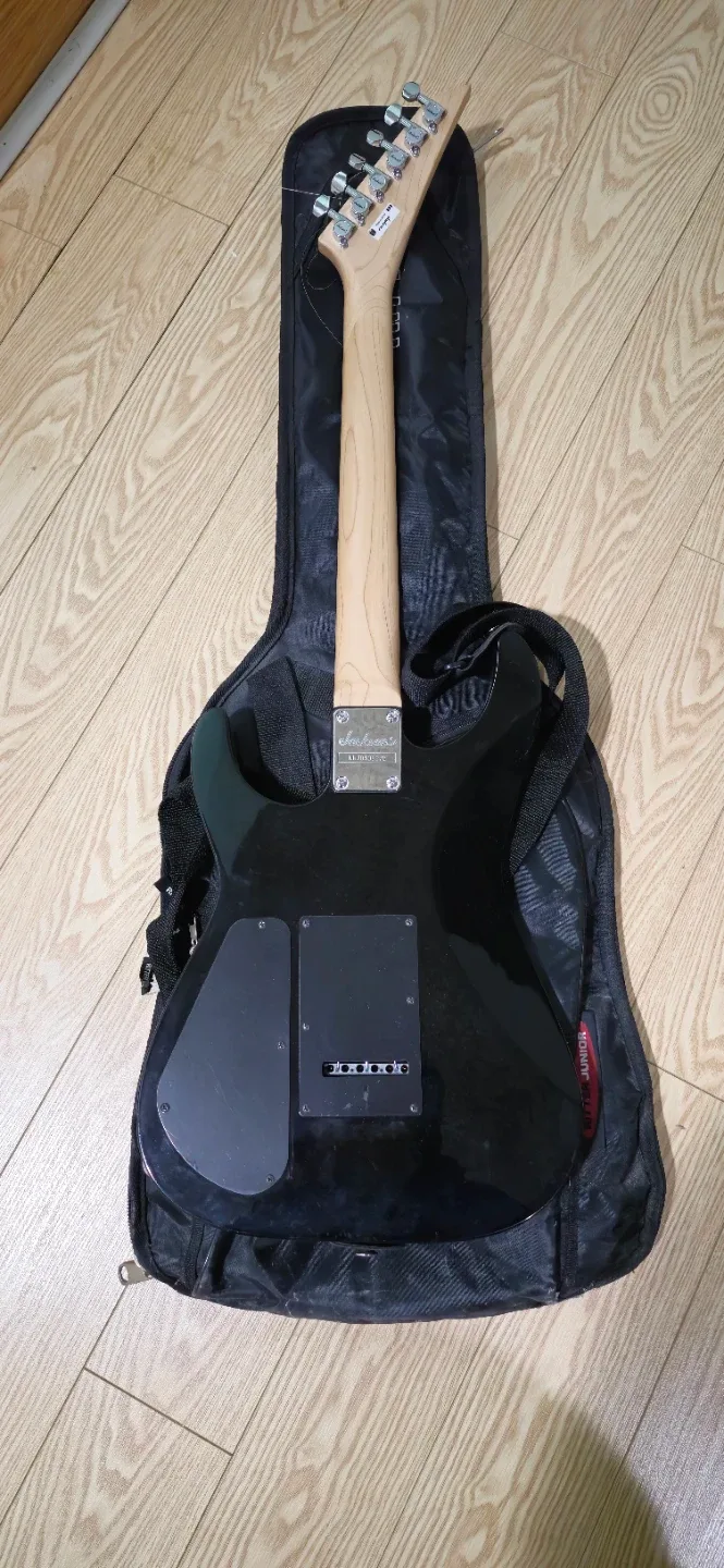Jackson Electric Guitar with Ritter Gig Bag image indicator(3)