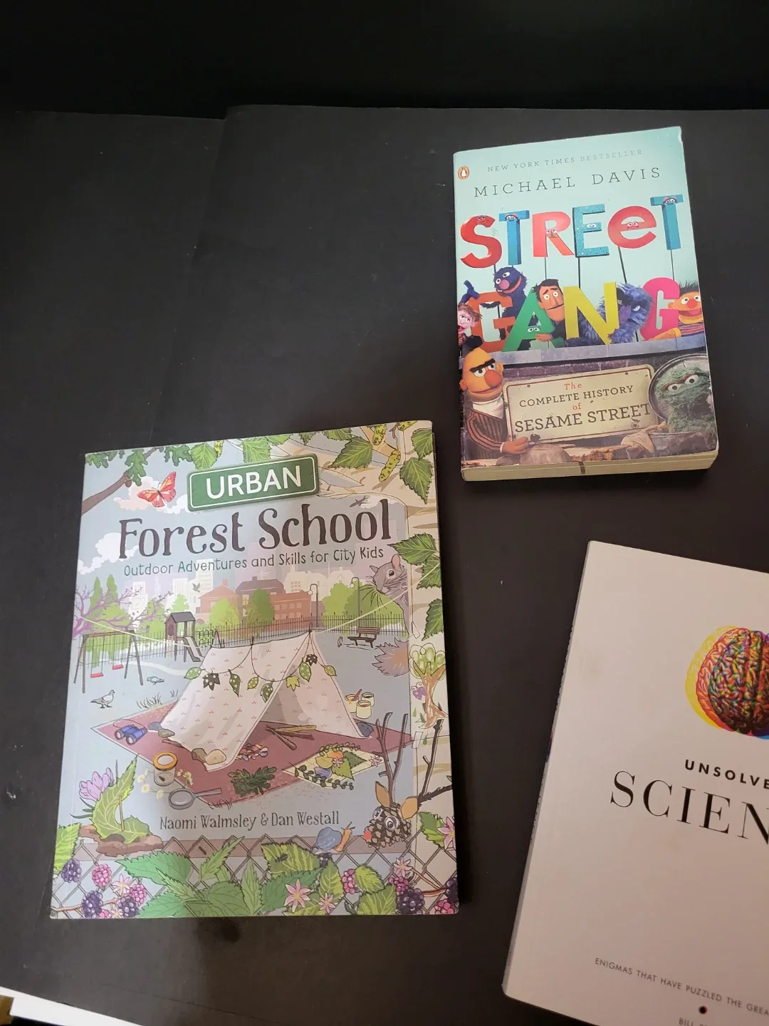 Non Fiction Books: Forest Schools, Montessori, image indicator(2)