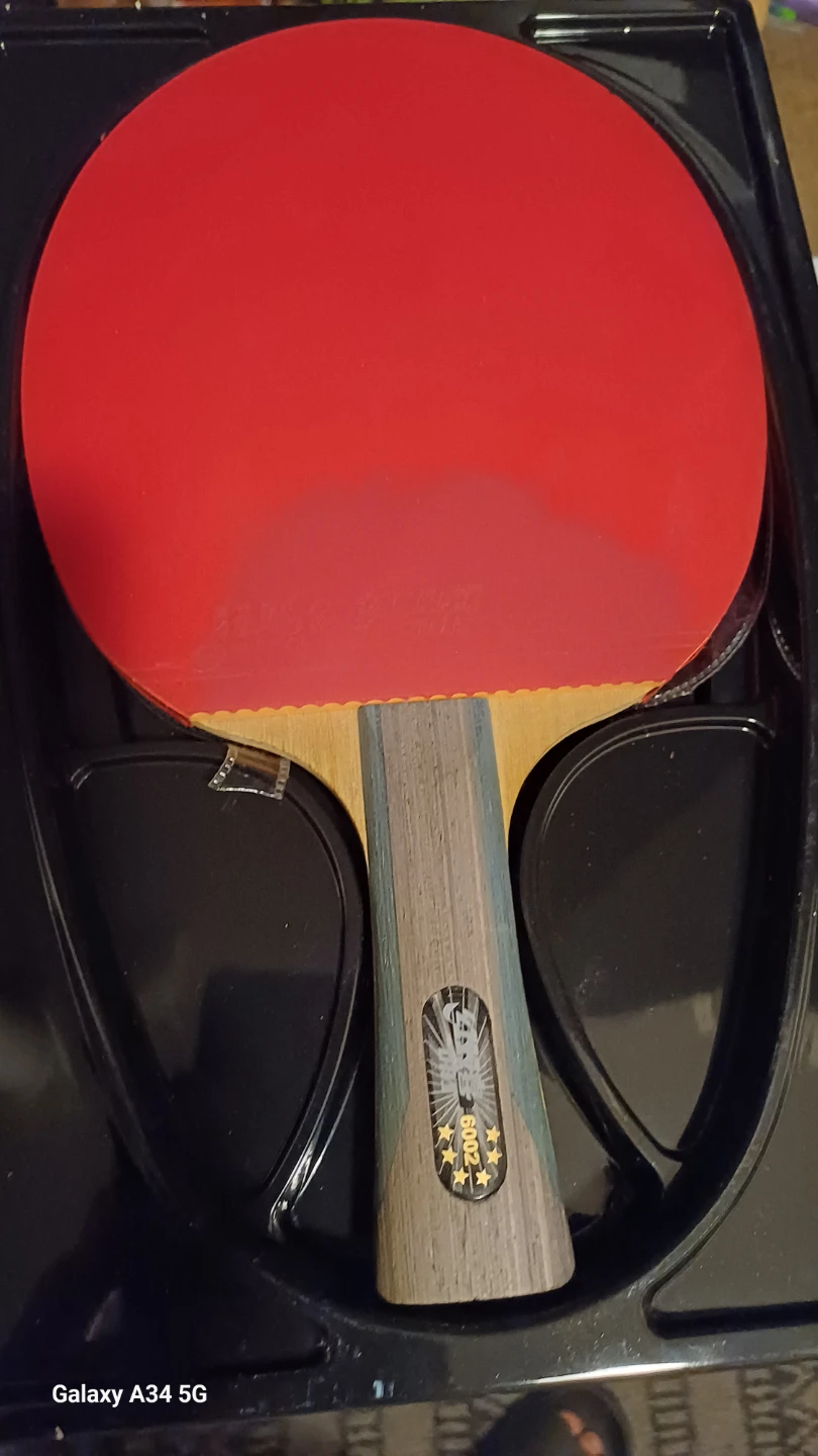 DHS Hurricane Hao 2 Table Tennis Racket