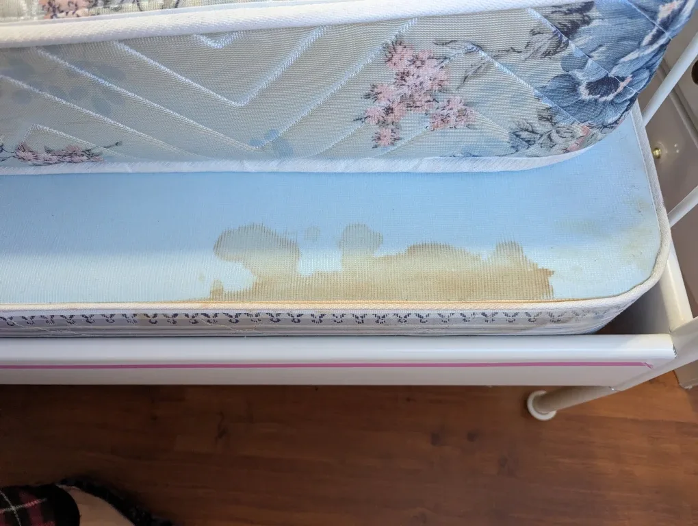 Bed, mattress, box spring and memory foam image indicator(6)