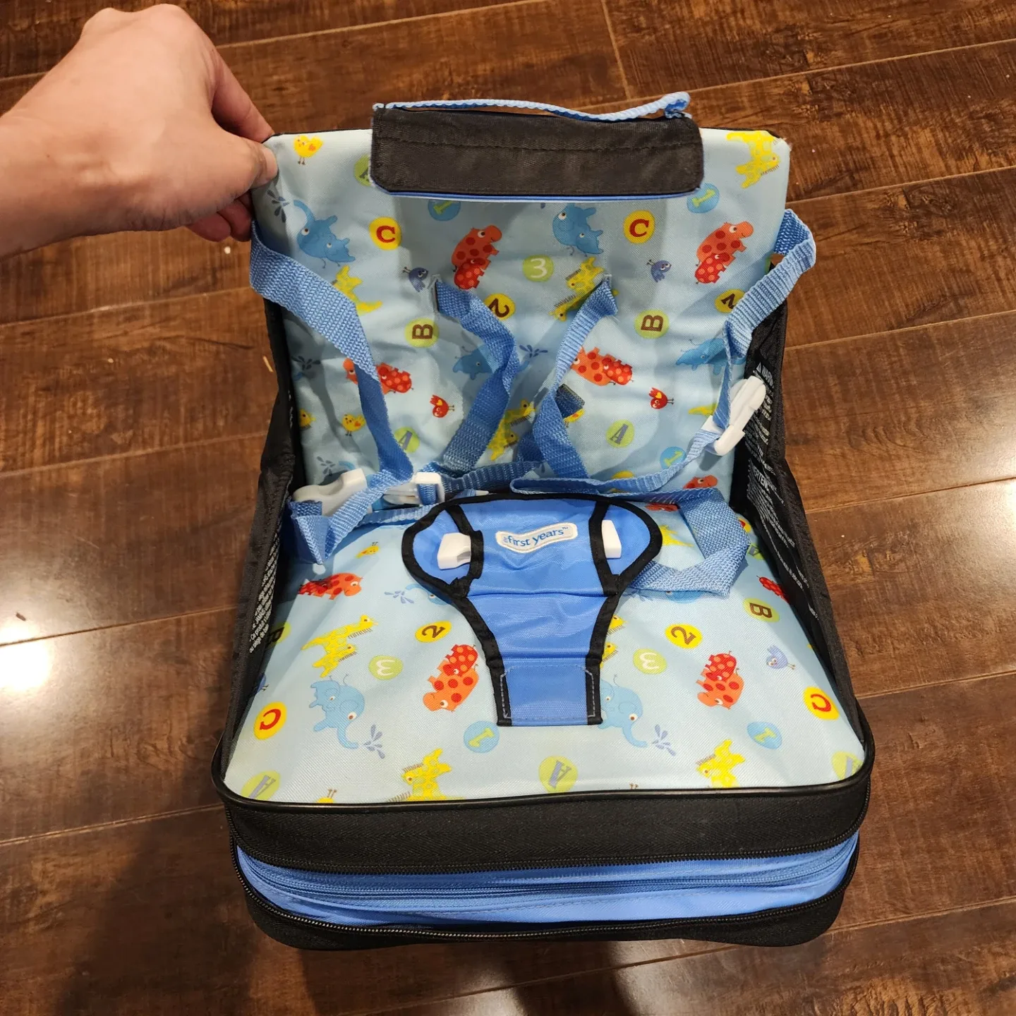 The First Years Carry Me Booster Seat