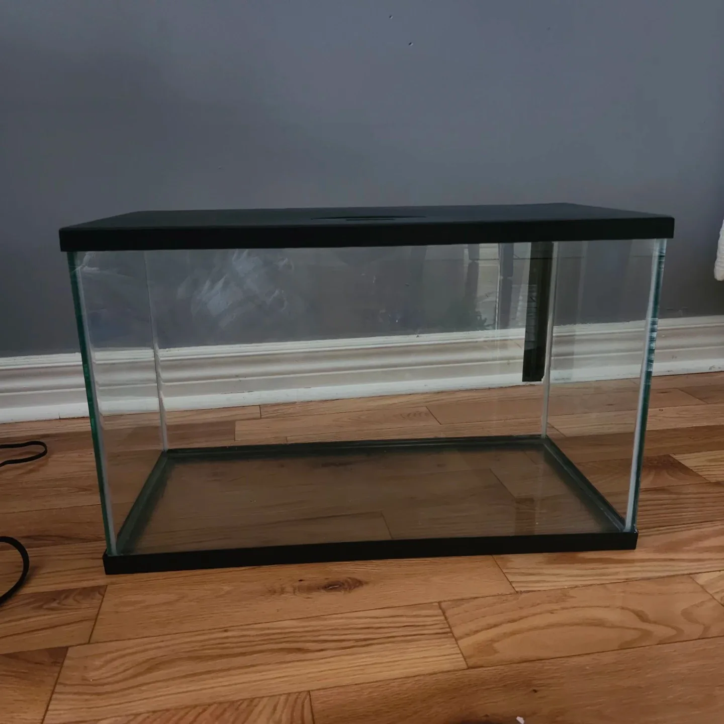 Fish Tank with Accessories