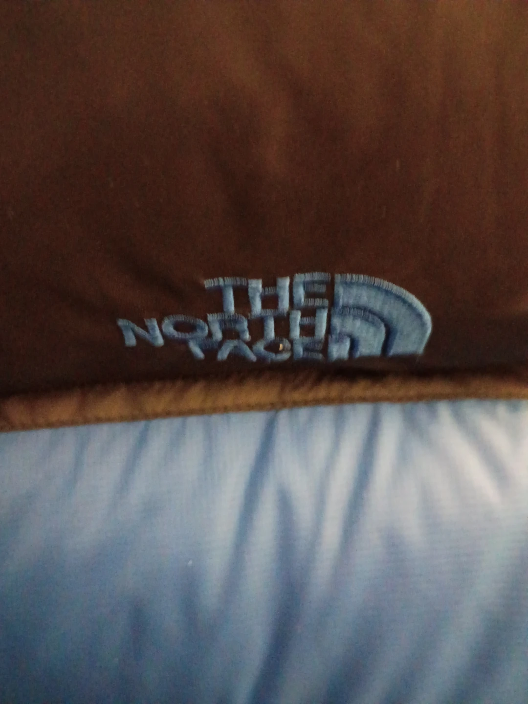 The North Face Puffer Vest Blue & Black